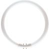 Philips | 2GX13-asennus | loisteputki | 18mm | 23.5W Philips | 2GX13-asennus | loisteputki | 18mm | 23.5W