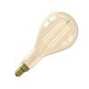 Calex | Splash High Lumen | Gold | Suora hehkulanka | 10.5W | E27-asennus Calex | Splash High Lumen | Gold | Suora hehkulanka | 10.5W | E27-asennus