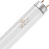 SPL | loisteputki | G13 sovitus | T8 | 10W | Blacklight UV hyönteislamppu | 33cm | 33cm SPL | loisteputki | G13 sovitus | T8 | 10W | Blacklight UV hyönteislamppu | 33cm | 33cm
