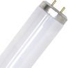 SPL | loisteputki | G13 sovitus | T12 | 20W | Blacklight UV hyönteislamppu | 59cm SPL | loisteputki | G13 sovitus | T12 | 20W | Blacklight UV hyönteislamppu | 59cm