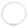 Lumilux T5 Circular FC 55W - 840 Kylmä valkoinen | 30cm Lumilux T5 Circular FC 55W - 840 Kylmä valkoinen | 30cm