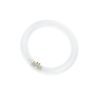 T9 Circline G10q 40W 3000K