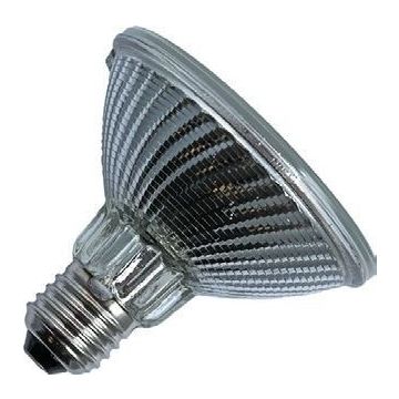 Halogeenlamp | Grote fitting E27 | Spot | PAR30 | Helder | 96mm | 50W
