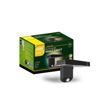 Calex | Smart Outdoor Solar Wall Light