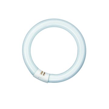 T9 Circline | 32W | G10Q | 830 Lämmin valkoinen