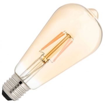 Bailey | LED Edisonlamp | Grote fitting E27  | 4W Dimbaar