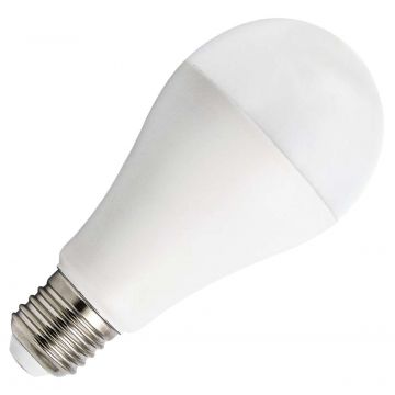 Bailey | LED lamp | Grote fitting E27 | Standaardlamp | 60mm | 15W