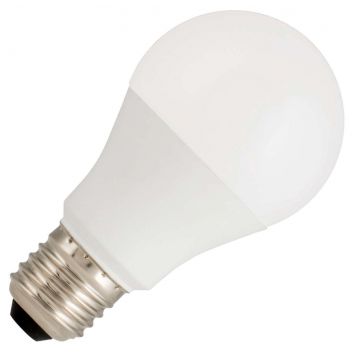 Bailey | LED lamp | Grote fitting E27 | Standaardlamp | 60mm | 7W