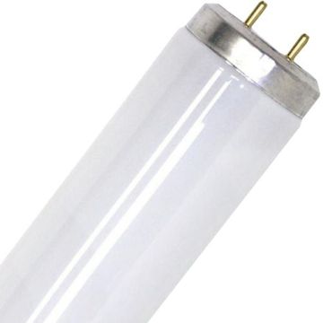 SPL | TL Buis | G13 Fitting | T12 | 20W | UV-vliegenlamp | 38x590mm