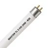 MASTER TL5 HO 24W - 830 lämmin valkoinen | 55cm
