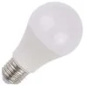 SPL | LED-lamppu | Suuri kanta E27 | Vakiolamppu | 60mm | 9.5W