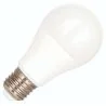 Bailey | LED-lamppu | Suuri kanta E27 | Vakiolamppu | 60mm | 12W