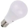 SPL | LED-lamppu | Suuri kanta E27 | Vakiolamppu | 65mm | 12W