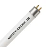 MASTER TL5 HO 80W - 830 lämmin valkoinen | 145cm