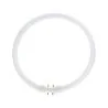 MASTER TL5C pyöreä 22W - 840 Cool White | 23cm