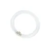 T9 Circline | 40W | G10Q | 865 Cold Daylight | 4-nastainen