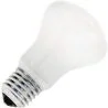 Hehkulamppu | Suuri kanta E27 | Superlux-lamppu | | | 100W