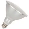 Bailey | LED-lamppu | Suuri kanta E27 | Spot | 122mm | 12W | 24V