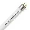 MASTER TL5 HO 24W - 830 lämmin valkoinen | 55cm