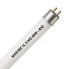 MASTER TL5 HO 49W - 830 lämmin valkoinen | 145cm
