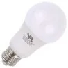 SPL | LED-lamppu | Suuri kanta E27 | Vakiolamppu | 60mm | 11W
