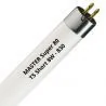 MASTER Super 80 T5 Short 8W - 830 Warm White | 29cm