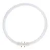 T5 Circline | 32W | 2GX13-asennus | 830 Warm White | 4-pin | Φ300MM